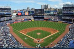 Yankee Baseball Stadium Wall Mural-Wall Mural-Eazywallz Major League Baseball Stadiums, Go Yankees, Baseball Park, Yankees Fan, Baseball Stadium, Ellis Island, Yankee Stadium