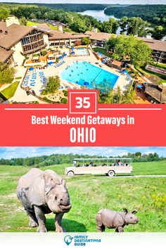 the best weekend getaways in oho, with an elephant and baby rhino