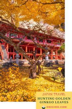 an orange and red building surrounded by yellow leaves