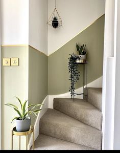 there is a potted plant sitting on the top of some stairs in this house