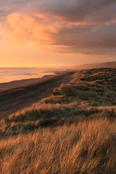 the sun is setting at the beach with tall grass