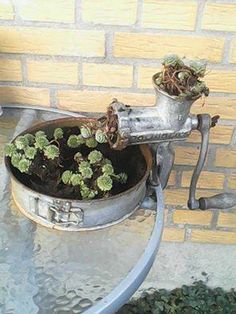 a potted plant sitting on top of a metal table next to a brick wall