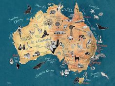 an illustrated map of australia with animals and birds