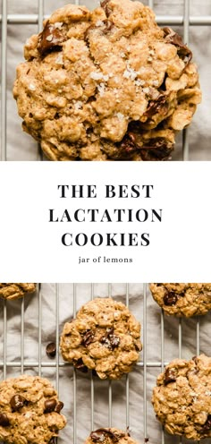 Made with oatmeal, flax, and brewer's yeast, these dairy-free lactation cookies are hands-down the BEST! Delicious, wholesome, and great for increasing milk supply (or just having a yummy postpartum treat). Whip up this super easy recipe in 20 minutes or less! Postpartum Cookies, Best Lactation Cookies, Snacks For Milk Supply, Sourdough Lactation Cookies, Brewers Yeast Recipes Milk Supply, Post Partum Meals Healing, Postpartum Recipes, Dairy Free Lactation Cookies, Freezable Cookies