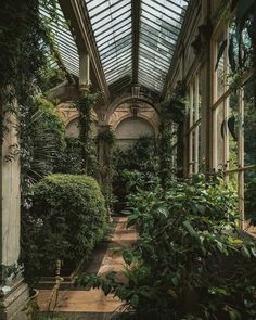 the inside of an old building with lots of plants