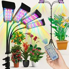 a person holding a remote control in front of some plants and lights on a white background