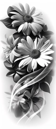 black and white photograph of daisies with water droplets on the petals, taken from above