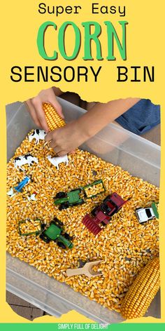 fall harvest corn sensory bin Corn Sensory Bin, Pumpkin Sensory, Farm Sensory Bin, Fun On The Farm, Fall Sensory, Harvest Corn, Pumpkin Life Cycle, Pumpkin Moon