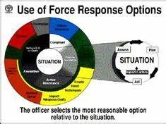 Situational Awareness and the Civilian Use of Force The Selection