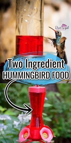 Make your own Hummingbird food daily with this recipe from Pint-sized Treasures! Being outside and enjoying nature brings a feeling of peace and calmness. Not to mention you get fresh air and some vitamin D. Give your feathered friends a great meal and enjoy watching them eat.