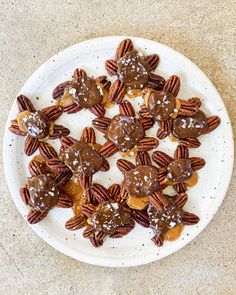 a white plate topped with chocolate covered pretzels and pecans on top of a table