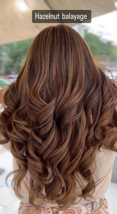 Brown Hazelnut Hair Color, Hair Colour Idea For Brown Skin, Brown Global Hair Color With Highlights, Hair Colour In Brown Shade, Hair Color Ideas Global, Brunette Hair With Hazelnut Highlights, Global Hair Color With Balayage, Hazelnut Hair Highlights, New Hair Colour 2024