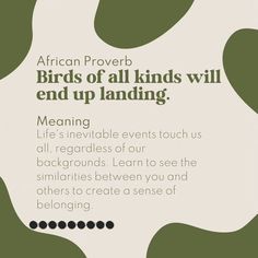 an advertisement for the african prove birds of all kinds will end up landing