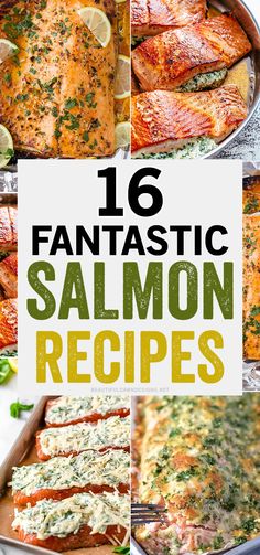 six different images of salmon in pans with the title overlay that reads 16 fantastic salmon salmon recipes