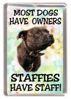 a black dog with the words most dogs have owners staffs have staffs on it