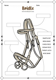 the bridle diagram shows how to use it for dressage and grooming