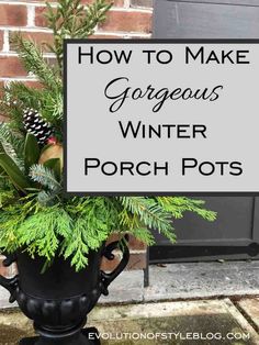 a potted plant with the words how to make gorgeous winter porch pots