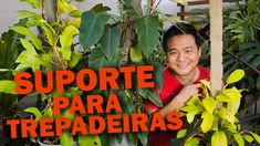 a man standing next to a tree with the words supporte para trepadderas