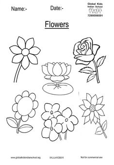 flowers coloring pages for children to color