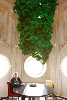 a man sitting at a table in front of a giant green plant hanging from the ceiling