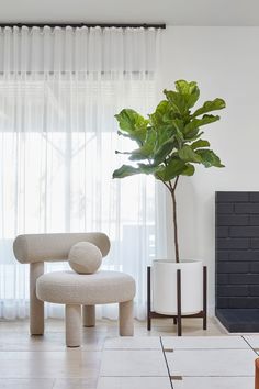 a living room with a plant in the corner