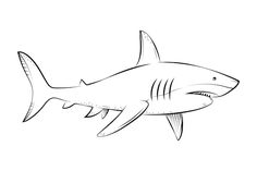 a drawing of a shark in black and white