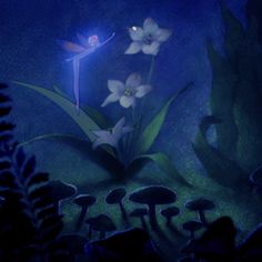 some flowers are growing out of the ground in the dark forest at night with bright lights shining on them