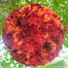 an orange and red flower hanging from a tree