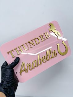 a person in black gloves holding up a pink sign that says thunder arabella 3