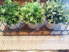 three potted plants sitting on top of a metal shelf