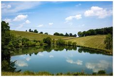 a lake surrounded by lush green grass and trees on a sunny day with clouds in the sky