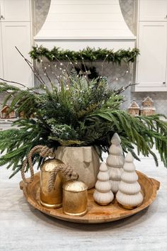 a potted plant sitting on top of a wooden platter filled with pine cones