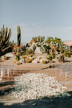 an outdoor wedding setup with clear chairs and cacti on the ground, surrounded by rocks