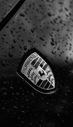 a close up view of the emblem on a car's hood in the rain