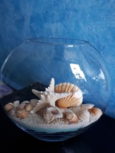 a glass bowl filled with sea shells on top of a black table next to a blue wall