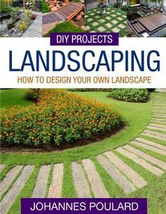 a book cover with steps and landscaping in the background