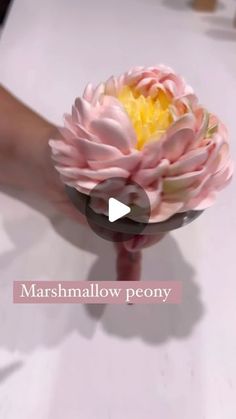 a person is holding a pink flower with yellow center in their hand and the words marshmallow peony on it