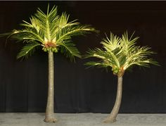 two palm trees with lights on them in front of a black backdrop