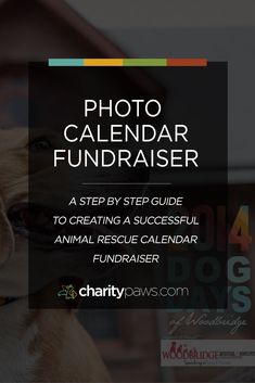 a dog is looking up at the camera with text that reads photo calendar fundraiser 4 steps