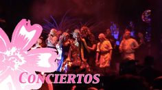 a group of people standing on top of a stage next to a pink and white flower