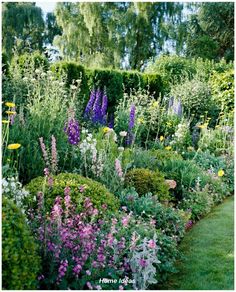 a garden filled with lots of different types of flowers