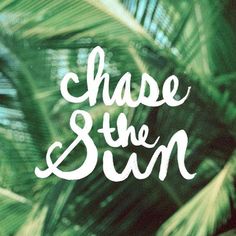 the words chase and sun written in white on a green background with palm trees behind it