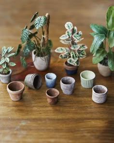 small potted plants sitting on top of a wooden table next to other pots and planters