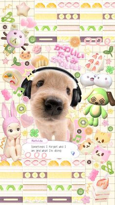 a dog with headphones on is looking at the camera and has many stickers all over it