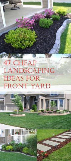 landscaping ideas for front yard that are easy and cheap