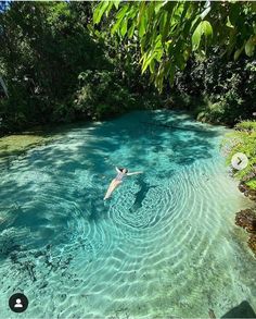 a person swimming in a pool surrounded by trees and bushes, with the water crystal blue