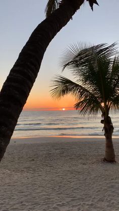 two palm trees are on the beach as the sun sets in the distance behind them