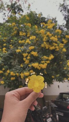 a person holding up a yellow flower in front of a tree