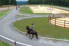 a person riding on the back of a brown horse down a winding road next to a forest