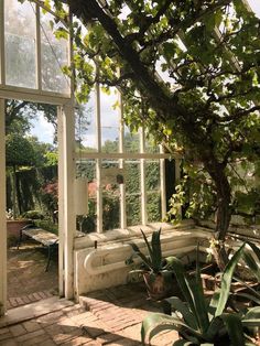 the sun shines through the windows in an old greenhouse with potted plants and benches